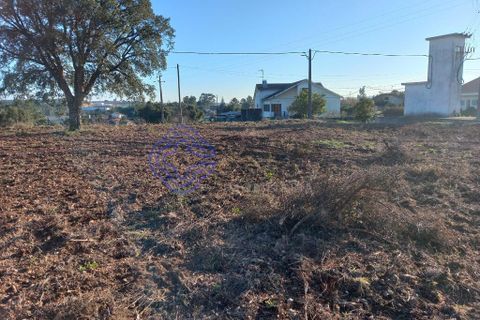 Helårsgrund i Tomar, Santarem, Tomar - € 125.000 | Ref: 196571 - foto 11