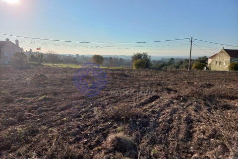 Helårsgrund i Tomar, Santarem, Tomar - € 125.000 | Ref: 196571 - foto 12