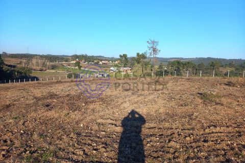 Helårsgrund i Tomar, Santarem, Tomar - € 125.000 | Ref: 196571 - foto 13