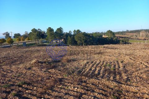 Helårsgrund i Tomar, Santarem, Tomar - € 125.000 | Ref: 196571 - foto 14