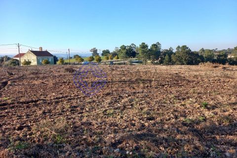 Helårsgrund i Tomar, Santarem, Tomar - € 125.000 | Ref: 196571 - foto 15