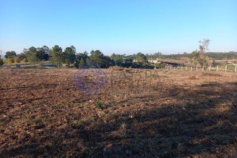 Helårsgrund i Tomar, Santarem, Tomar - € 125.000 | Ref: 196571 - foto 16