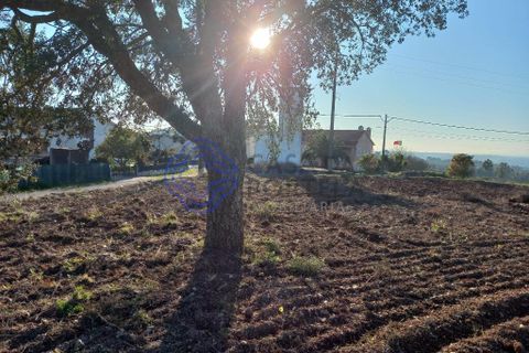 Helårsgrund i Tomar, Santarem, Tomar - € 125.000 | Ref: 196571 - foto 17