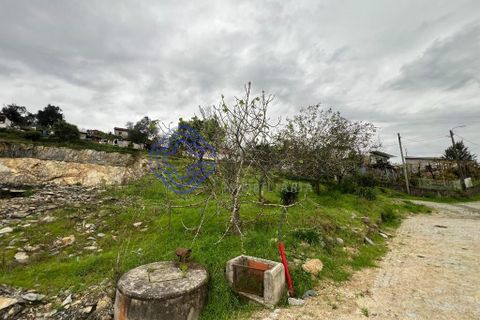 Helårsgrund i Paredes, Porto, Paredes - € 48.000 | Ref: 197171 - foto 5