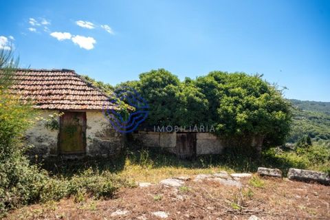 Landejendom i Amarante, Porto, Amarante - € 35.000 | Ref: 189571 - foto 6