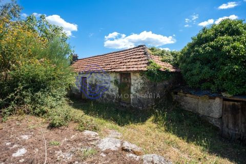 Landejendom i Amarante, Porto, Amarante - € 35.000 | Ref: 189571 - foto 7