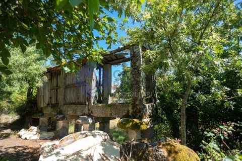 Landejendom i Amarante, Porto, Amarante - € 35.000 | Ref: 189571 - foto 10