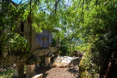 Landejendom i Amarante, Porto, Amarante - € 35.000 | Ref: 189571 - foto 11