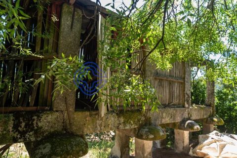 Landejendom i Amarante, Porto, Amarante - € 35.000 | Ref: 189571 - foto 12