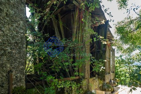 Landejendom i Amarante, Porto, Amarante - € 35.000 | Ref: 189571 - foto 13