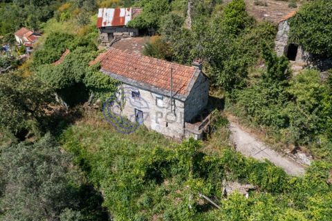 Landejendom i Amarante, Porto, Amarante - € 35.000 | Ref: 189571 - foto 15