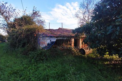 Rækkehus i Tomar, Santarem, Tomar - € 130.000 | Ref: 195391 - foto 1