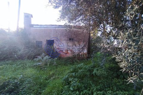 Rækkehus i Tomar, Santarem, Tomar - € 130.000 | Ref: 195391 - foto 2
