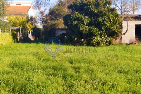 Rækkehus i Tomar, Santarem, Tomar - € 130.000 | Ref: 195391 - foto 3