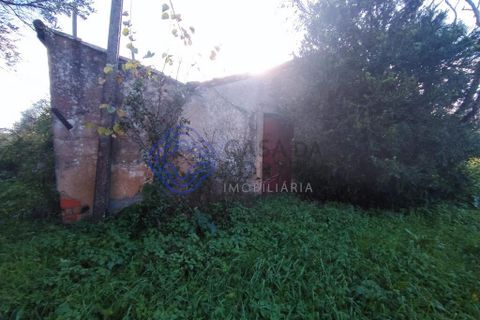 Rækkehus i Tomar, Santarem, Tomar - € 130.000 | Ref: 195391 - foto 4