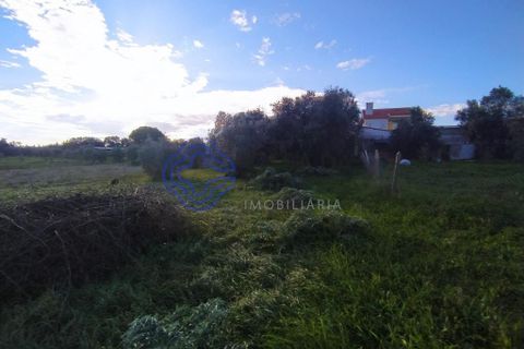 Rækkehus i Tomar, Santarem, Tomar - € 130.000 | Ref: 195391 - foto 5
