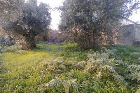 Rækkehus i Tomar, Santarem, Tomar - € 130.000 | Ref: 195391 - foto 7