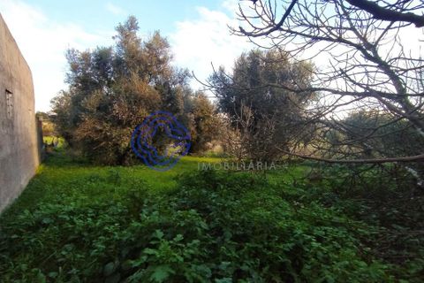 Rækkehus i Tomar, Santarem, Tomar - € 130.000 | Ref: 195391 - foto 8