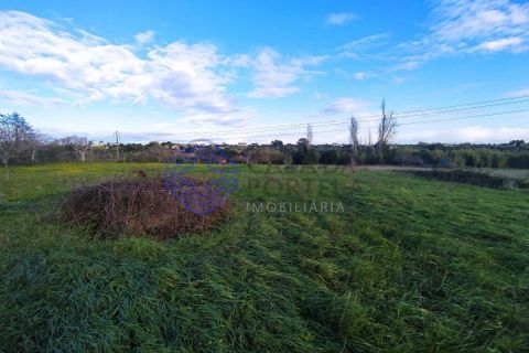 Rækkehus i Tomar, Santarem, Tomar - € 130.000 | Ref: 195391 - foto 9