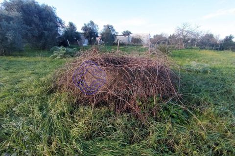 Rækkehus i Tomar, Santarem, Tomar - € 130.000 | Ref: 195391 - foto 10