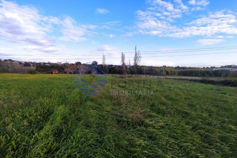 Rækkehus i Tomar, Santarem, Tomar - € 130.000 | Ref: 195391 - foto 11
