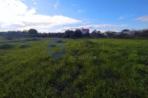 Rækkehus i Tomar, Santarem, Tomar - € 130.000 | Ref: 195391 - foto 12