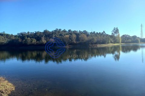 Rækkehus i Tomar, Santarem, Tomar - € 130.000 | Ref: 195391 - foto 30