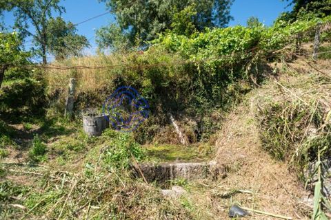 Landejendom i Amarante, Porto, Amarante - € 95.000 | Ref: 189771 - foto 8