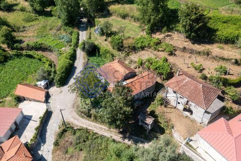 Landejendom i Amarante, Porto, Amarante - € 95.000 | Ref: 189771 - foto 13