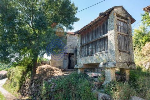 Landejendom i Amarante, Porto, Amarante - € 90.000 | Ref: 189781 - foto 13