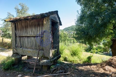 Landejendom i Amarante, Porto, Amarante - € 90.000 | Ref: 189781 - foto 16