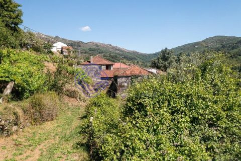 Landejendom i Amarante, Porto, Amarante - € 90.000 | Ref: 189781 - foto 17