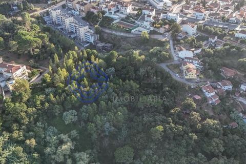 Helårsgrund i Coimbra, Coimbra, Coimbra - € 2.500.000 | Ref: 188041 - foto 2