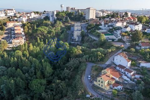 Helårsgrund i Coimbra, Coimbra, Coimbra - € 2.500.000 | Ref: 188041 - foto 3