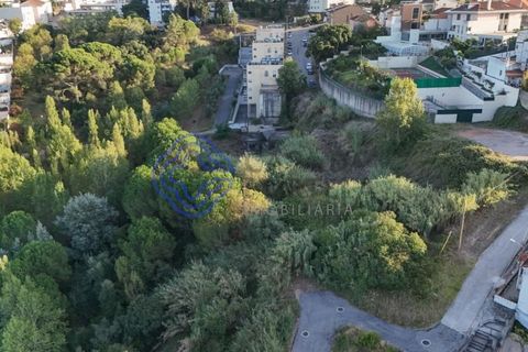 Helårsgrund i Coimbra, Coimbra, Coimbra - € 2.500.000 | Ref: 188041 - foto 4