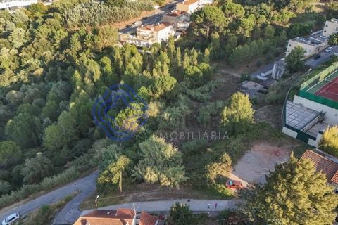 Helårsgrund i Coimbra, Coimbra, Coimbra - € 2.500.000 | Ref: 188041 - foto 5