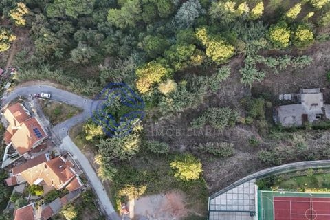 Helårsgrund i Coimbra, Coimbra, Coimbra - € 2.500.000 | Ref: 188041 - foto 6