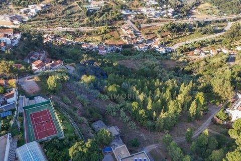 Helårsgrund i Coimbra, Coimbra, Coimbra - € 2.500.000 | Ref: 188041 - foto 7
