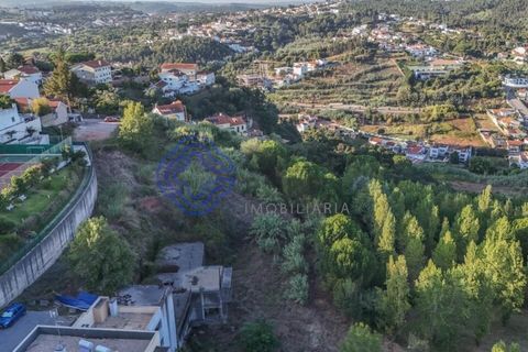 Helårsgrund i Coimbra, Coimbra, Coimbra - € 2.500.000 | Ref: 188041 - foto 8