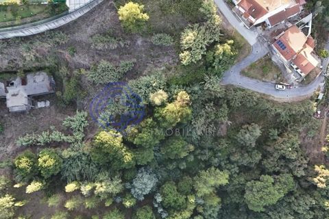Helårsgrund i Coimbra, Coimbra, Coimbra - € 2.500.000 | Ref: 188041 - foto 9