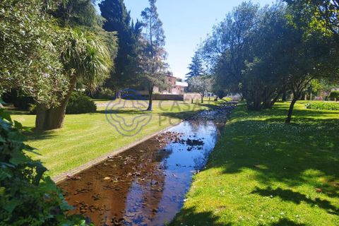 Byhus i Tomar, Santarem, Tomar - € 275.000 | Ref: 198071 - foto 18