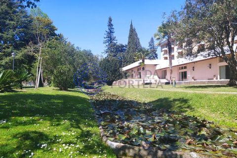 Byhus i Tomar, Santarem, Tomar - € 275.000 | Ref: 198071 - foto 23