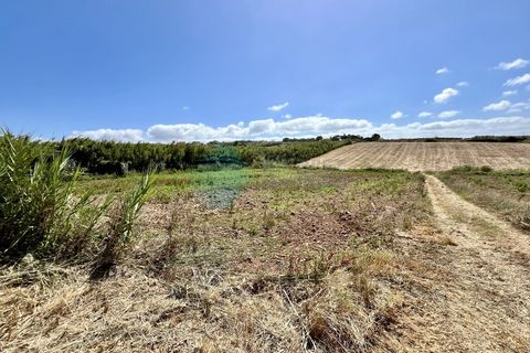 Helårsgrund i Torres Vedras, Lisbon, Torres Vedras - € 46.150 | Ref: 3204-TRPG - foto 2