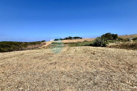 Helårsgrund i Torres Vedras, Lisbon, Torres Vedras - € 46.150 | Ref: 3204-TRPG - foto 6