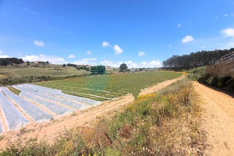 Helårsgrund i A dos Cunhados e Maceira, Lisbon, A dos Cunhados e Maceira - € 375.000 | Ref: 3190-TUPG - foto 9