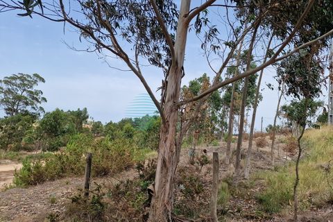 Tomt i Matacaes, Lisbon, Matacaes - € 2 274 000 | Ref: 2777-TRJB - foto 5