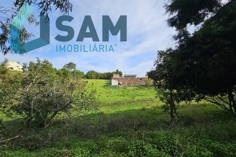 Villa a Matacaes, Lisbon, Matacaes - € 300.000 | Ref: TV/OS019-24 - foto 3