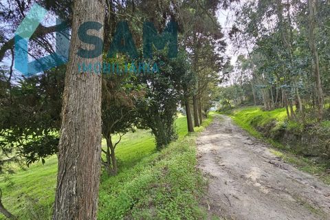 Villa a Matacaes, Lisbon, Matacaes - € 300.000 | Ref: TV/OS019-24 - foto 34