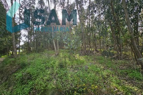 Villa a Matacaes, Lisbon, Matacaes - € 300.000 | Ref: TV/OS019-24 - foto 42