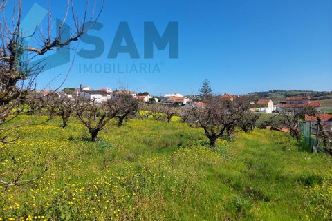 Helårsgrund i Carvalhal, Leiria, Carvalhal - € 135.000 | Ref: LH/CS002-25 - foto 3